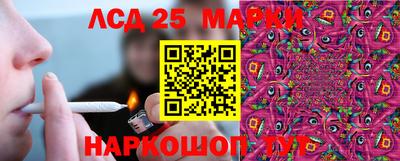 шишки Моздок
