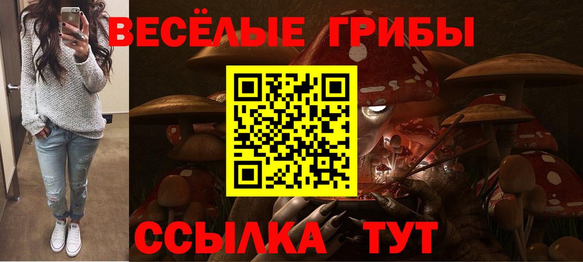 Галлюциногенные грибы мицелий Бугуруслан